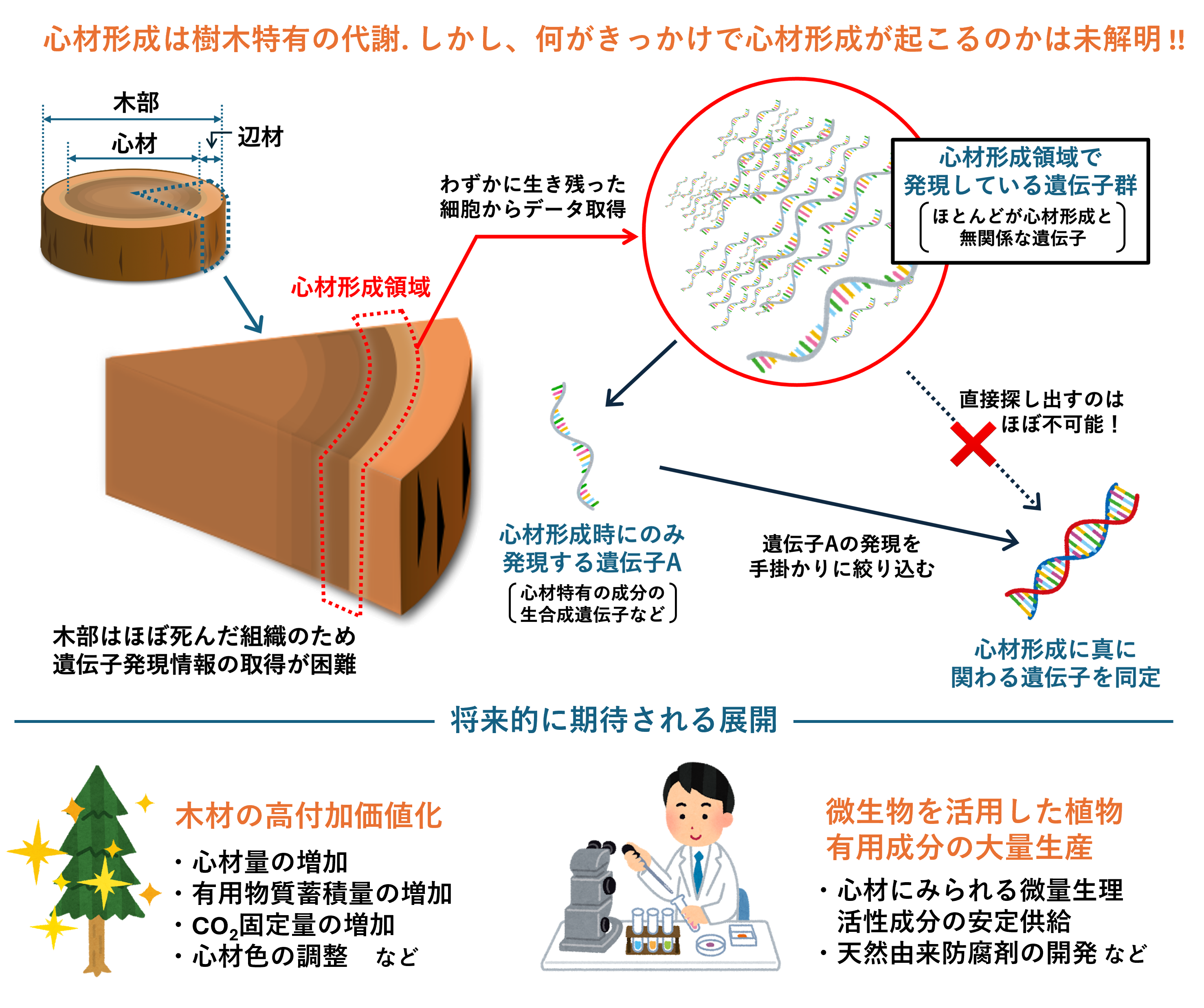 画像1.png