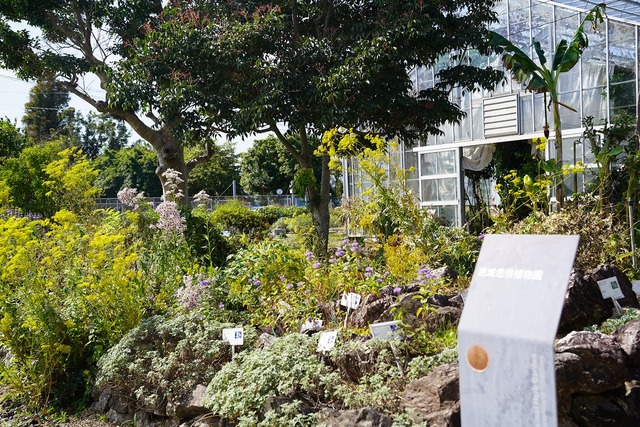 秋の訪れを感じながら、植物の世界を散策 