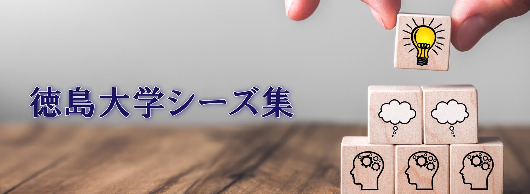 徳島大学シーズ集