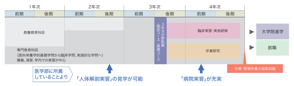 医学部医科栄養学科カリキュラム.png