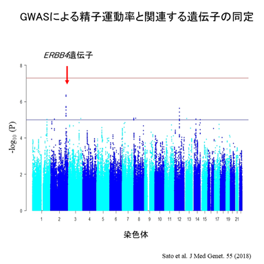 佐藤 陽一