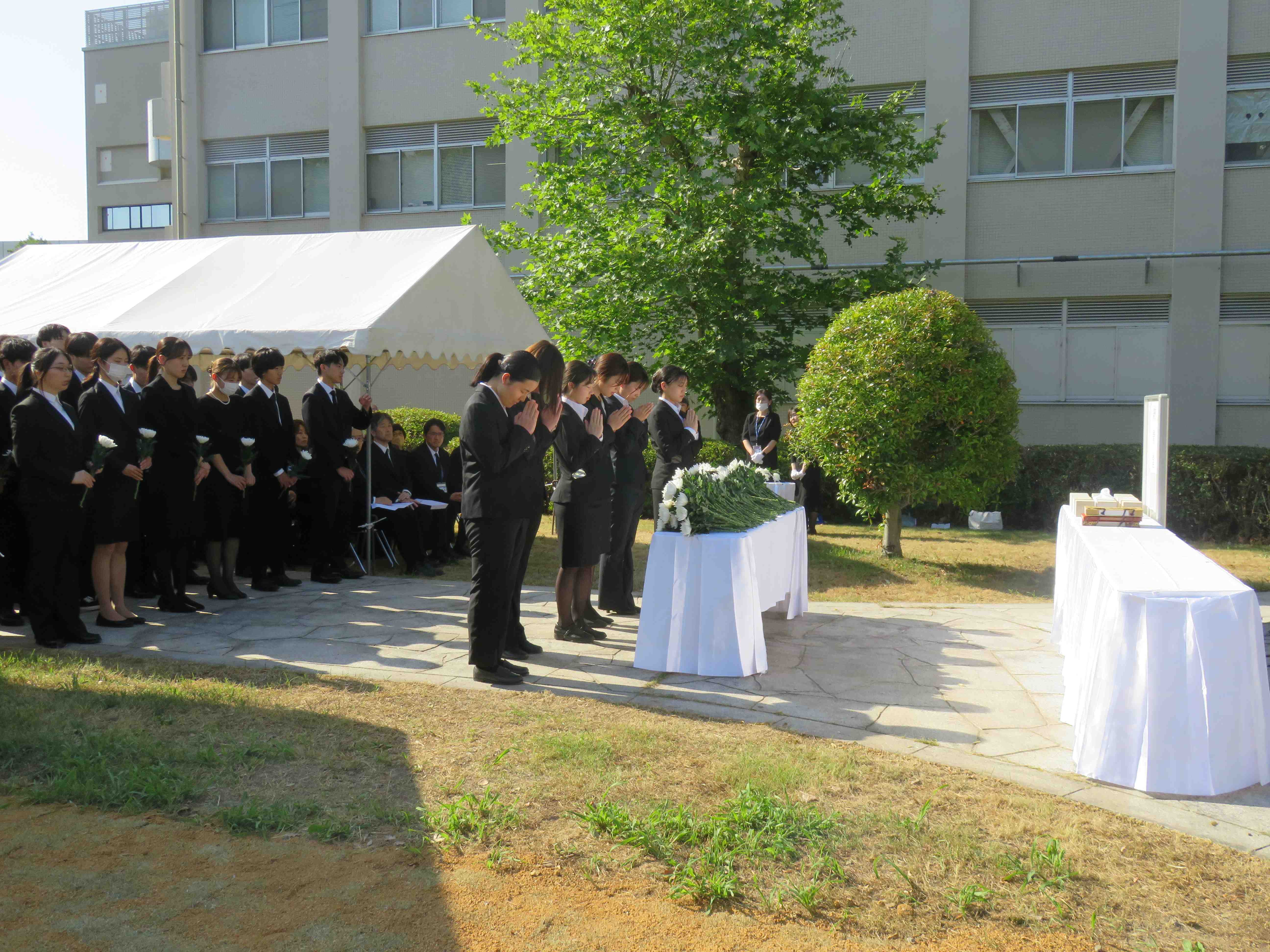 photo_2.JPG