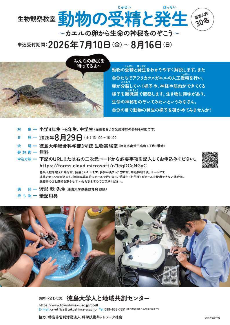 生物観察教室「動物の受精と発生」チラシ