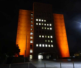 photo2.png
