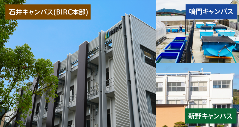 birc_web用3.png