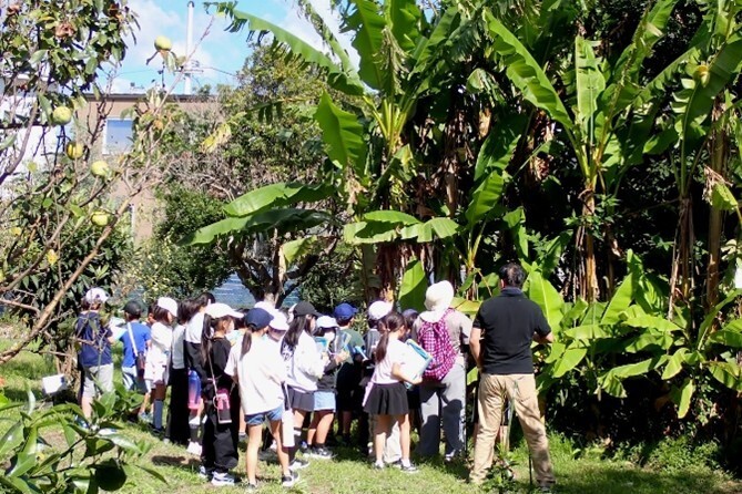 photo4.jpg