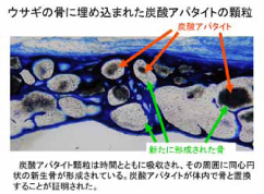 yoji_miyamoto_a04.jpg