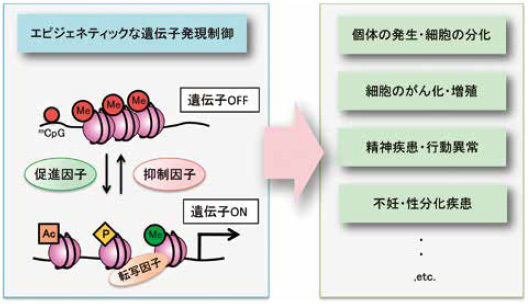 genome05.jpg