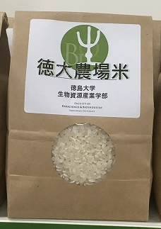 RICE.png