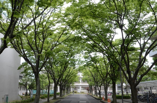 高等学校の先生方