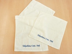 towel2.jpg