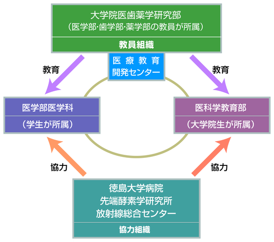 Physiology（生理学）～海外医学部を６年で卒業プロジェクト～