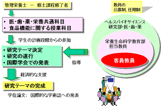 食品機能研究に特化した白紙後期過程のコースワーク