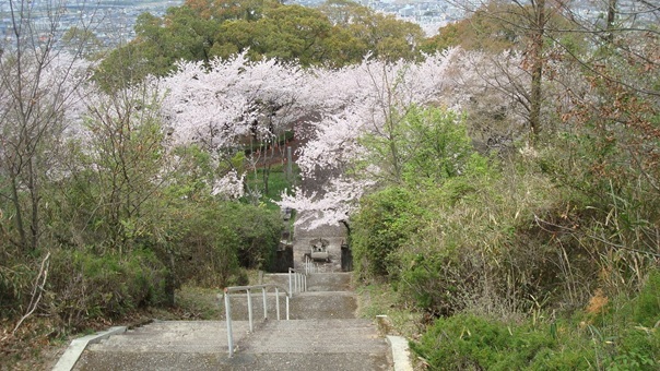 youkoso20190327.jpg