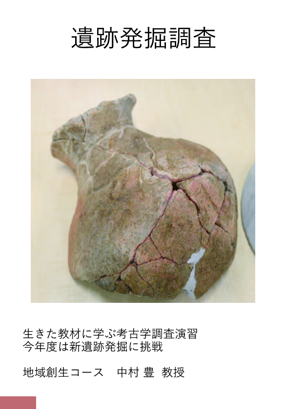 地域創生コース　中村豊　教授