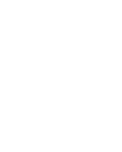 4年次