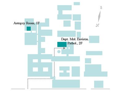 Location and Building